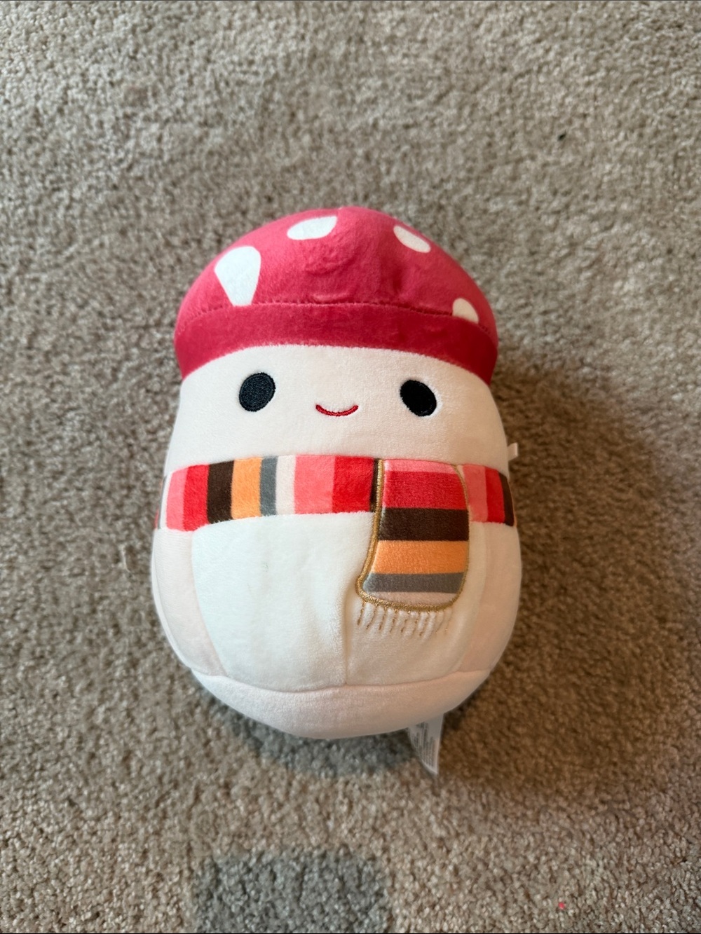 Malcolm The Mushroom Squishmallow! Adorable and great condition!